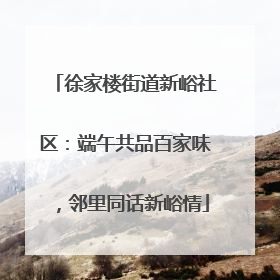 徐家楼街道新峪社区：端午共品百家味，邻里同话新峪情