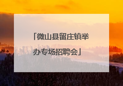 微山县留庄镇举办专场招聘会