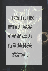 微山县赵庙镇开展爱心妈妈蓄力行动集体关爱活动