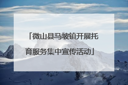 微山县马坡镇开展托育服务集中宣传活动