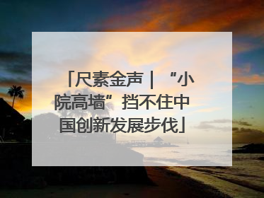 尺素金声｜“小院高墙”挡不住中国创新发展步伐
