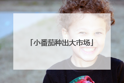 小番茄种出大市场