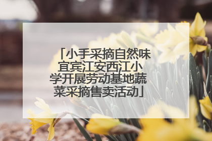 小手采摘自然味 宜宾江安西江小学开展劳动基地蔬菜采摘售卖活动