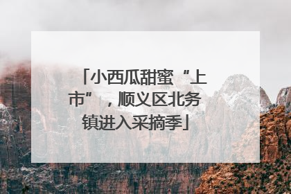 小西瓜甜蜜“上市”，顺义区北务镇进入采摘季