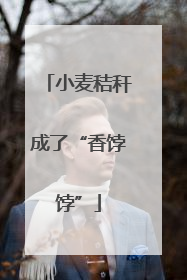 小麦秸秆成了“香饽饽”