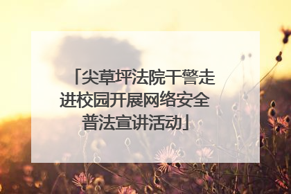 尖草坪法院干警走进校园开展网络安全普法宣讲活动