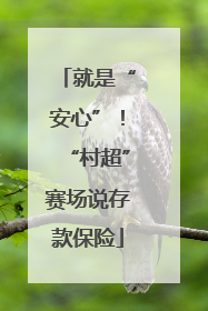 就是“安心”！“村超”赛场说存款保险
