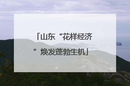 山东“花样经济”焕发蓬勃生机