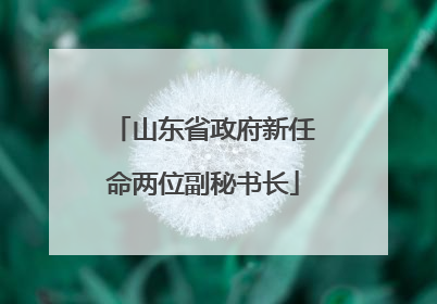 山东省政府新任命两位副秘书长