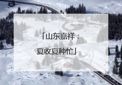 山东嘉祥：夏收夏种忙