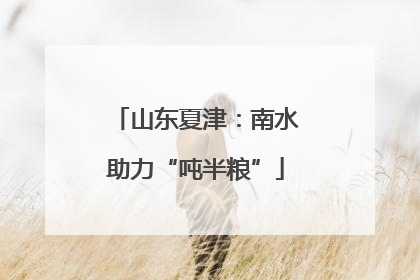 山东夏津：南水助力“吨半粮”