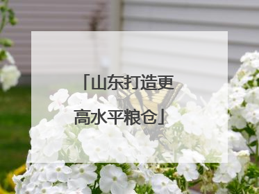 山东打造更高水平粮仓