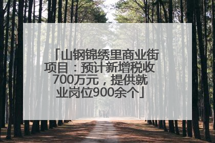 山钢锦绣里商业街项目：预计新增税收700万元，提供就业岗位900余个