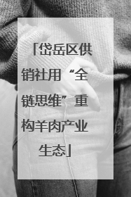岱岳区供销社用“全链思维”重构羊肉产业生态