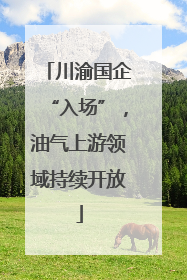川渝国企“入场”，油气上游领域持续开放