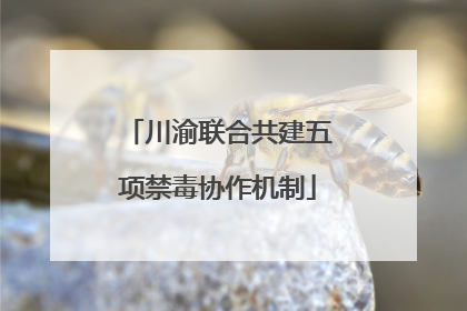 川渝联合共建五项禁毒协作机制