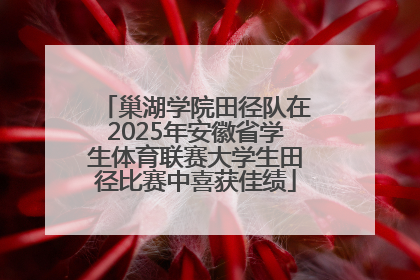 巢湖学院田径队在2025年安徽省学生体育联赛大学生田径比赛中喜获佳绩