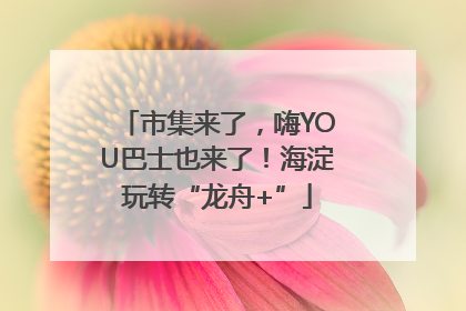 市集来了，嗨YOU巴士也来了！海淀玩转“龙舟+”