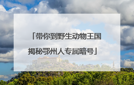 带你到野生动物王国揭秘鄂州人专属暗号