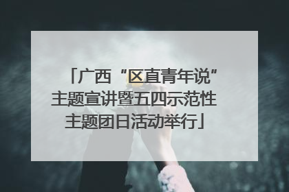 广西“区直青年说”主题宣讲暨五四示范性主题团日活动举行