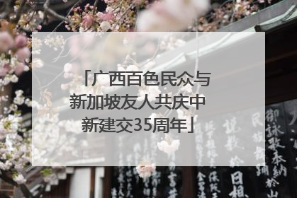 广西百色民众与新加坡友人共庆中新建交35周年