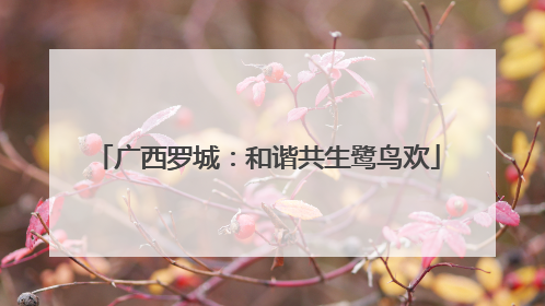 广西罗城：和谐共生鹭鸟欢