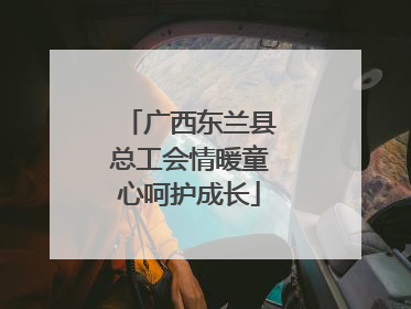 广西东兰县总工会情暖童心呵护成长