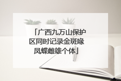 广西九万山保护区同时记录金斑喙凤蝶雌雄个体