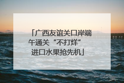 广西友谊关口岸端午通关“不打烊” 进口水果抢先机