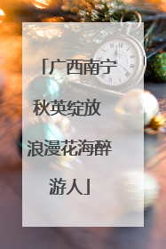 广西南宁秋英绽放 浪漫花海醉游人