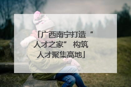 广西南宁打造“人才之家” 构筑人才聚集高地