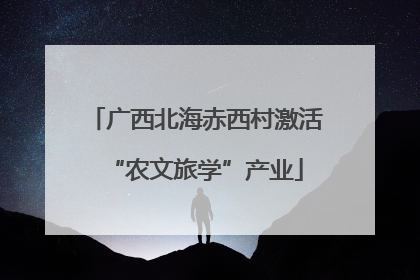 广西北海赤西村激活“农文旅学”产业