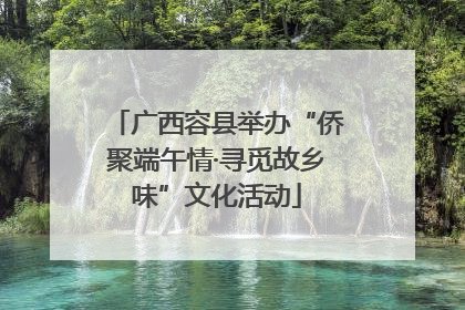 广西容县举办“侨聚端午情·寻觅故乡味”文化活动
