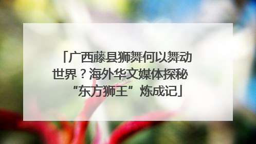 广西藤县狮舞何以舞动世界？海外华文媒体探秘“东方狮王”炼成记