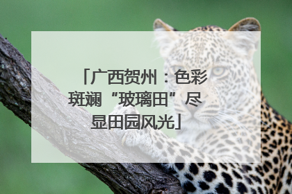 广西贺州：色彩斑斓“玻璃田”尽显田园风光