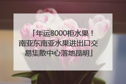 年运8000柜水果！南亚东南亚水果进出口交易集散中心落地昆明