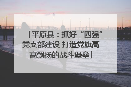 平原县：抓好“四强”党支部建设 打造党旗高高飘扬的战斗堡垒