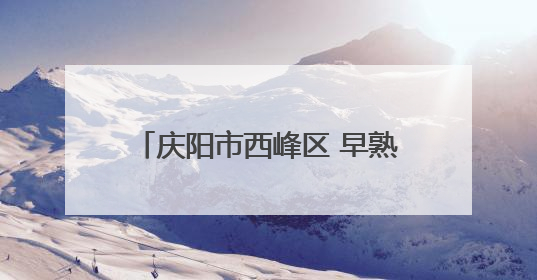庆阳市西峰区 早熟红杏“云”端飘香