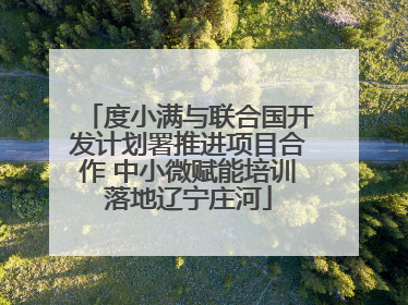 度小满与联合国开发计划署推进项目合作 中小微赋能培训落地辽宁庄河