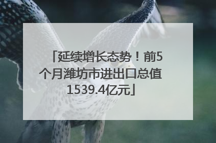 延续增长态势！前5个月潍坊市进出口总值1539.4亿元
