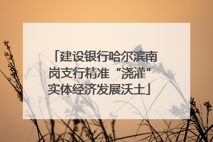 建设银行哈尔滨南岗支行精准“浇灌”实体经济发展沃土