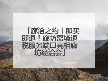 廊洽之约丨即买即退！廊坊离境退税服务端口亮相廊坊经洽会