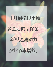 开封杞县平城乡全力抗旱保苗 新型灌溉助力农业节本增效