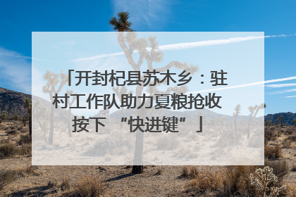 开封杞县苏木乡：驻村工作队助力夏粮抢收按下 “快进键”