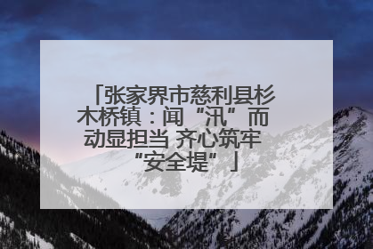 张家界市慈利县杉木桥镇：闻“汛”而动显担当 齐心筑牢“安全堤”