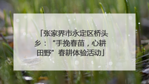 张家界市永定区桥头乡：“手挽春苗，心耕田野”春耕体验活动