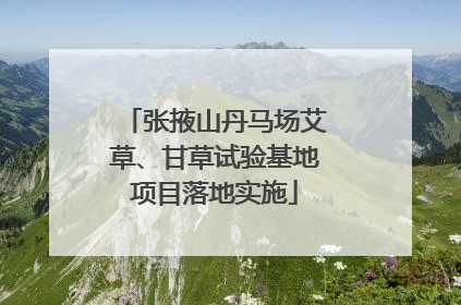 张掖山丹马场艾草、甘草试验基地项目落地实施