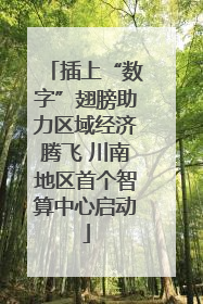 插上“数字”翅膀助力区域经济腾飞 川南地区首个智算中心启动