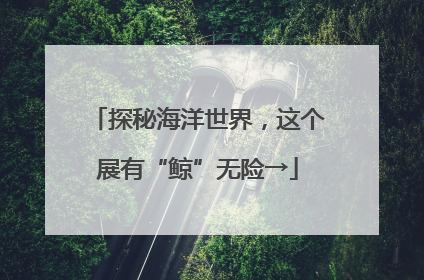 探秘海洋世界，这个展有“鲸”无险→