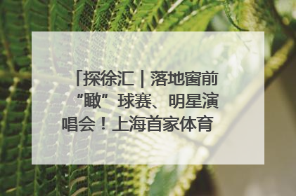 探徐汇｜落地窗前“瞰”球赛、明星演唱会！上海首家体育特色高端酒店亮相